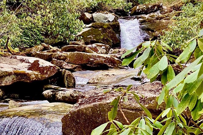 Thundering Streams and Falls of the Smokies Guided Hiking Tour - Key points at a glance