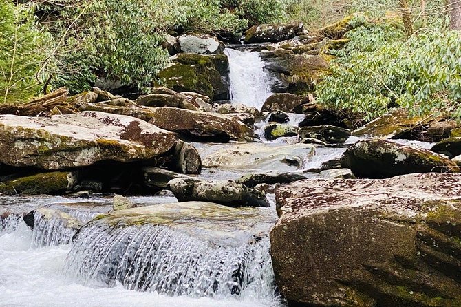 Thundering Streams and Falls of the Smokies Guided Hiking Tour - Why this Smokies hike is more than a waterfall walk