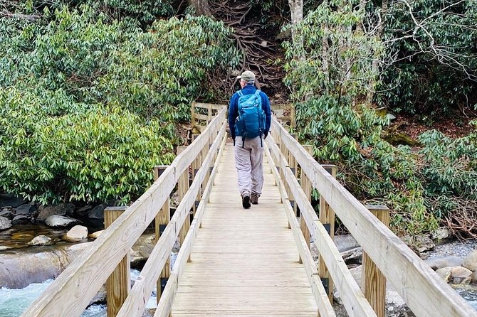 Thundering Streams and Falls of the Smokies Guided Hiking Tour - Guides turn scenery into a lesson