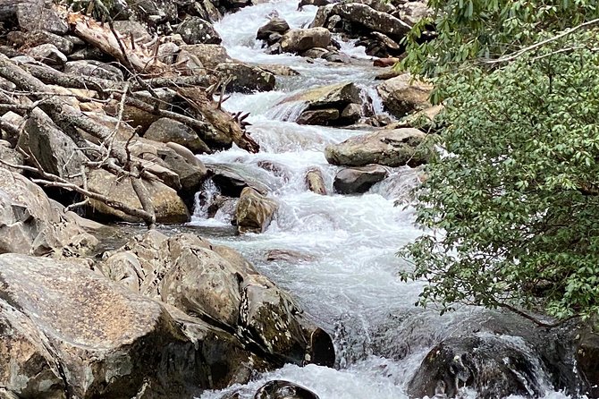 Thundering Streams and Falls of the Smokies Guided Hiking Tour - How hard is the hike?