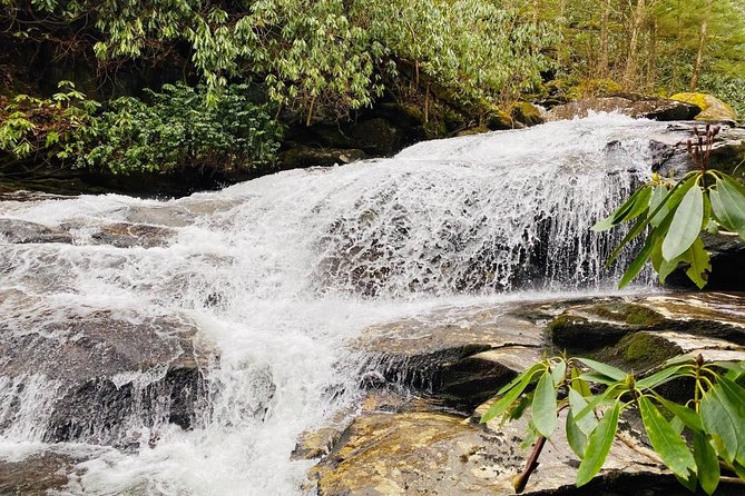 Thundering Streams and Falls of the Smokies Guided Hiking Tour - Starting at Sugarlands Visitor Center