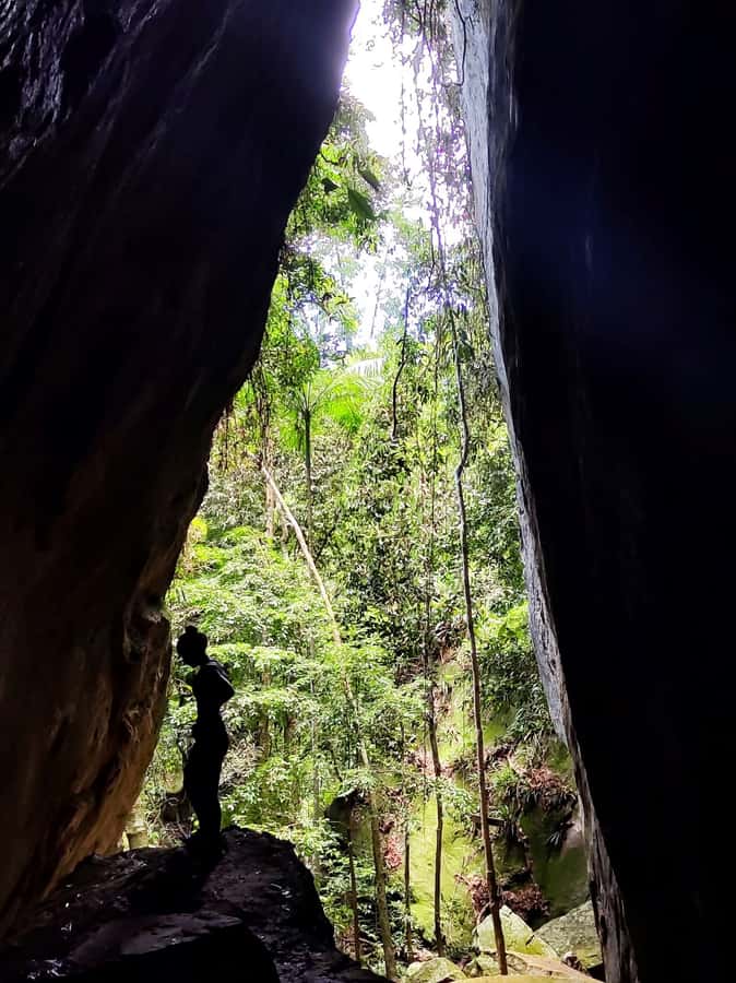 Tijuca Forest´s hike: caves, waterfalls and great views - Guide style and group atmosphere