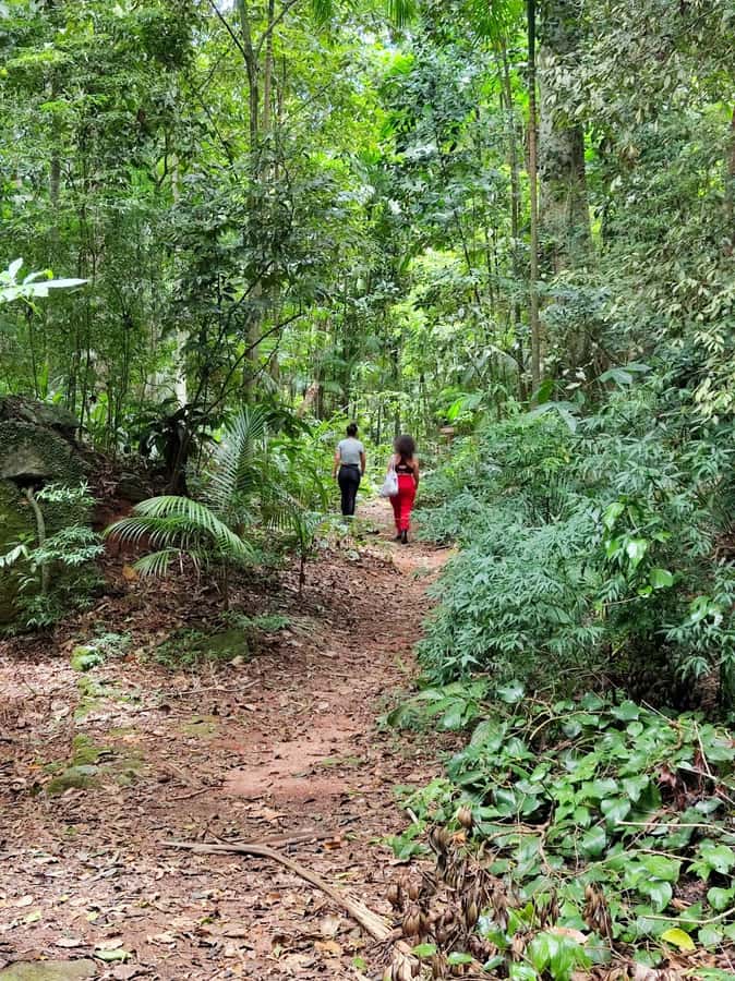 Tijuca Forest´s hike: caves, waterfalls and great views - Starting at Praça Afonso Viseu in Alto da Boa Vista