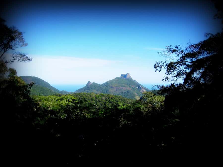 Tijuca Forest´s hike: caves, waterfalls and great views - The cave circuit and changing terrain