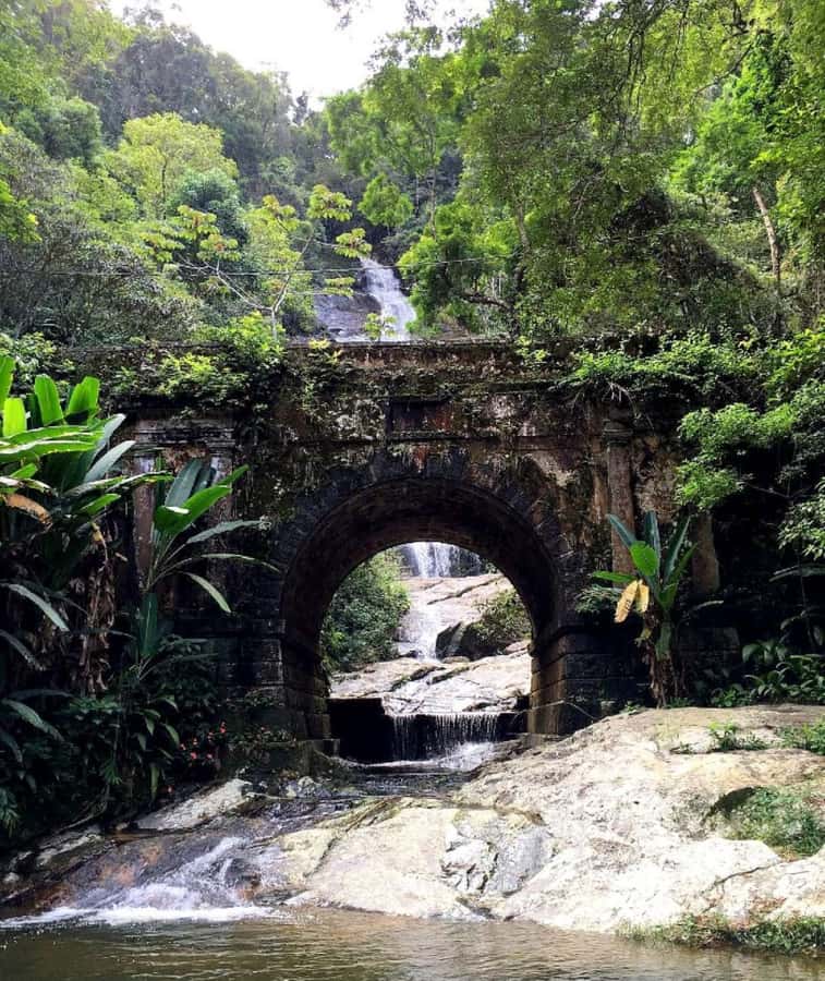Tijuca Forest´s hike: caves, waterfalls and great views - How hard is the four-hour route?