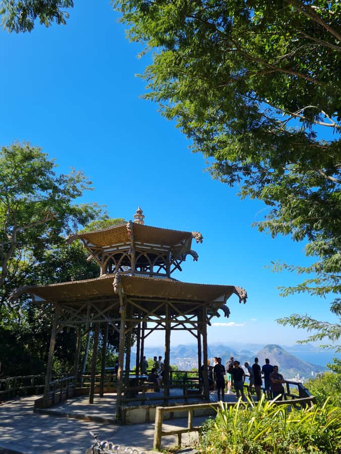 Tijuca Rain Forest - Adventure through Waterfalls & Caves - The guide can shape the whole day