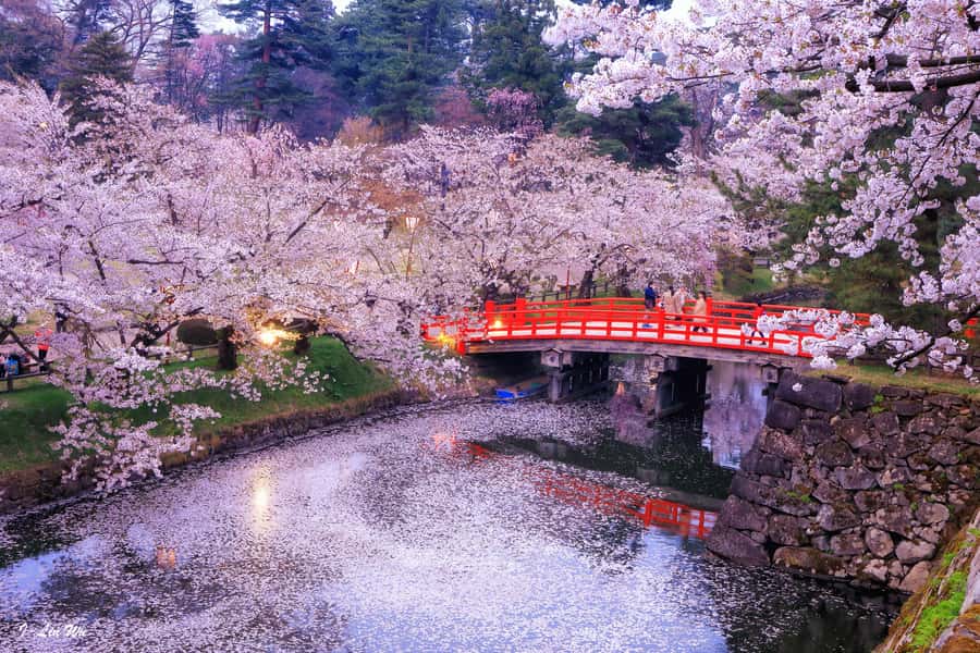 Tokyo: Nikko Day Tour Shrines, Lake Chūzenji & Kegon Falls - Why a private Nikko day trip can make sense