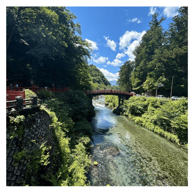Tokyo: Nikko Kegon Falls Lake Chuzenji Toshogu Temple & More - Key points to know before booking