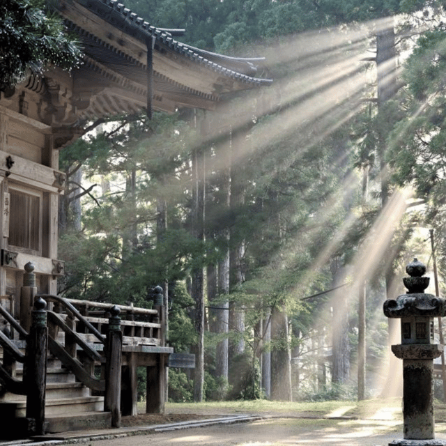 Tokyo: Nikko Kegon Falls Lake Chuzenji Toshogu Temple & More - What the drivers add to the day