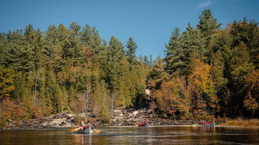 Toronto: Algonquin Park and Ragged Falls Day Trip - Why the $116 price can make sense