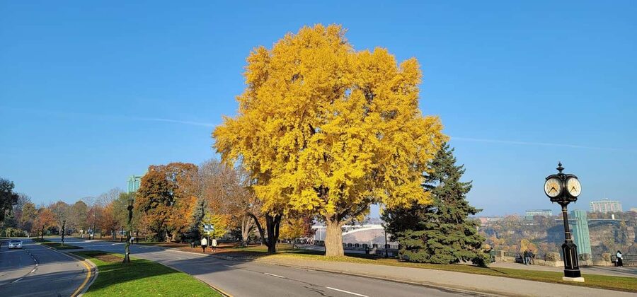 Toronto: Niagara Falls & NOTL Heritage Town Guided Day Tour - The Niagara Parkway and hydroelectric stations