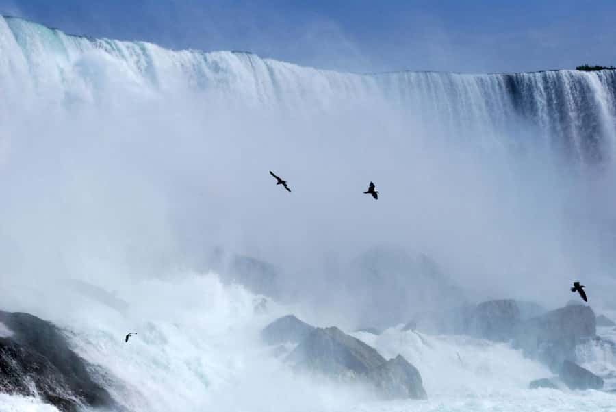 Toronto: Small-Group Niagara Falls Day Trip - Who should book this day trip?