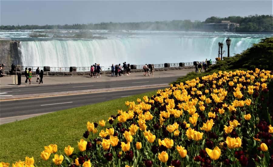 Toronto: Small-Group Niagara Falls Day Trip - First views of the Canadian Falls