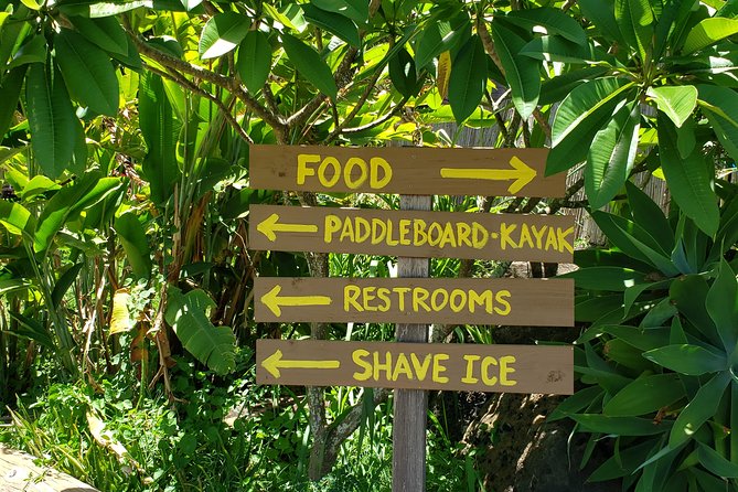 Tour of North Shore & Waimea Waterfall - Nuʻuanu Pali brings the day back toward Honolulu