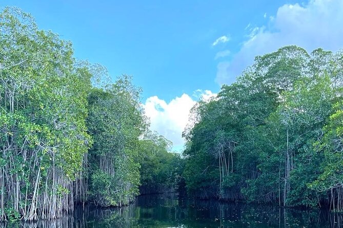 Tour to Black River and YS Falls - Who will enjoy this tour most