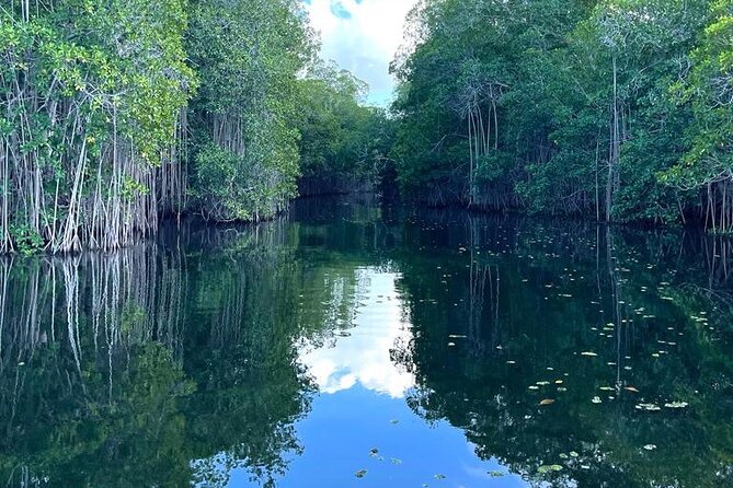 Tour to Black River and YS Falls - Booking timing and cancellation details