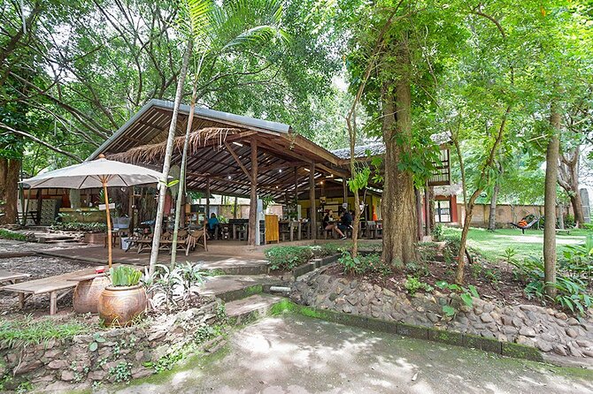 Trek to a Jungle Waterfall - Who should book this experience?
