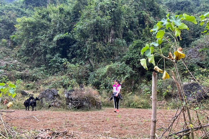 Trekking Ban Gioc Waterfall to Hidden Village on Unique Route - Ban Gioc Waterfall and the Vietnam-China border
