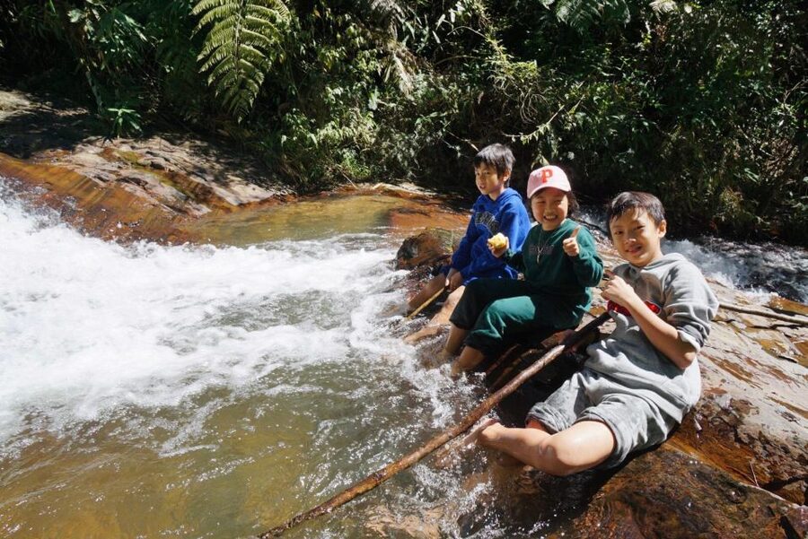 Trekking to Hidden Waterfall & Sturgeon Farm for dog-lovers - Practical advice for a smoother day