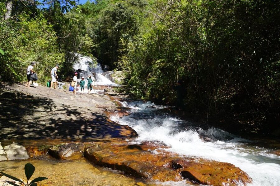 Trekking to Hidden Waterfall & Sturgeon Farm for dog-lovers - A gentle forest start with a canine escort