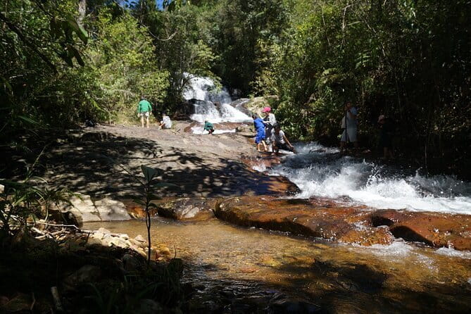 Trekking Tour to Hidden Waterfall & Sturgeon Farm for dog-lovers - Meeting the seven canine guides