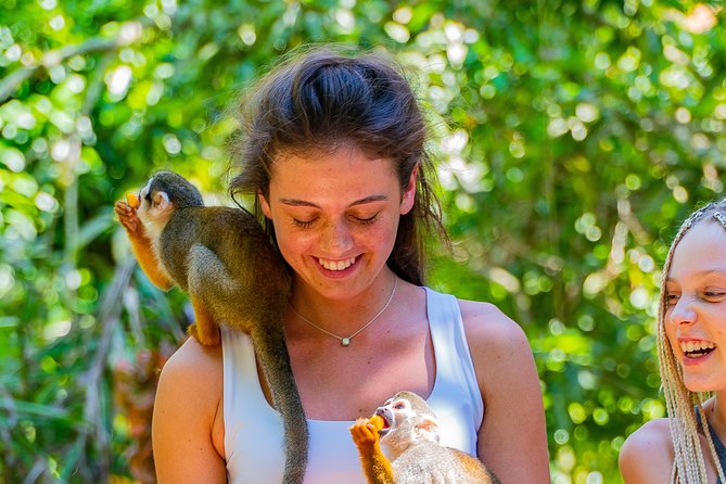 Triple fun! Monkeyland + Damajagua Waterfalls + Buggies from Puerto Plata - Why this Puerto Plata combination works
