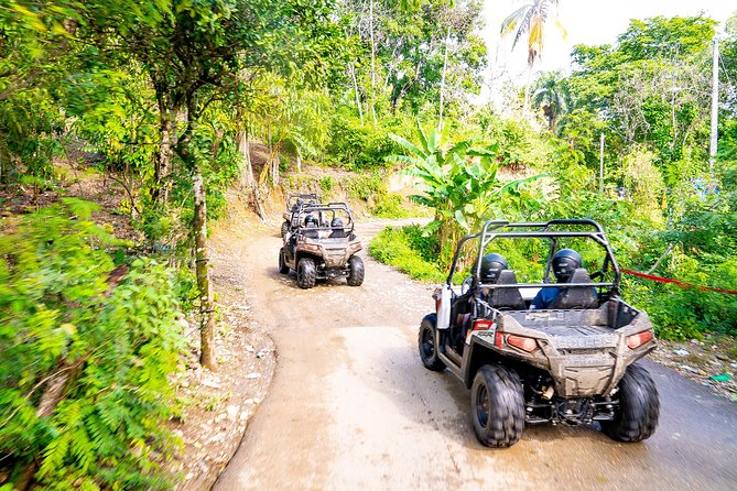 Triple fun! Monkeyland + Damajagua Waterfalls + Buggies from Puerto Plata - Starting at 7:00 a.m. in Puerto Plata