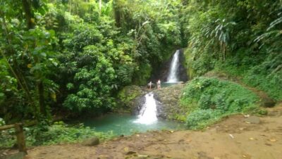 “Tropically Yours” Waterfall Nature Hike.