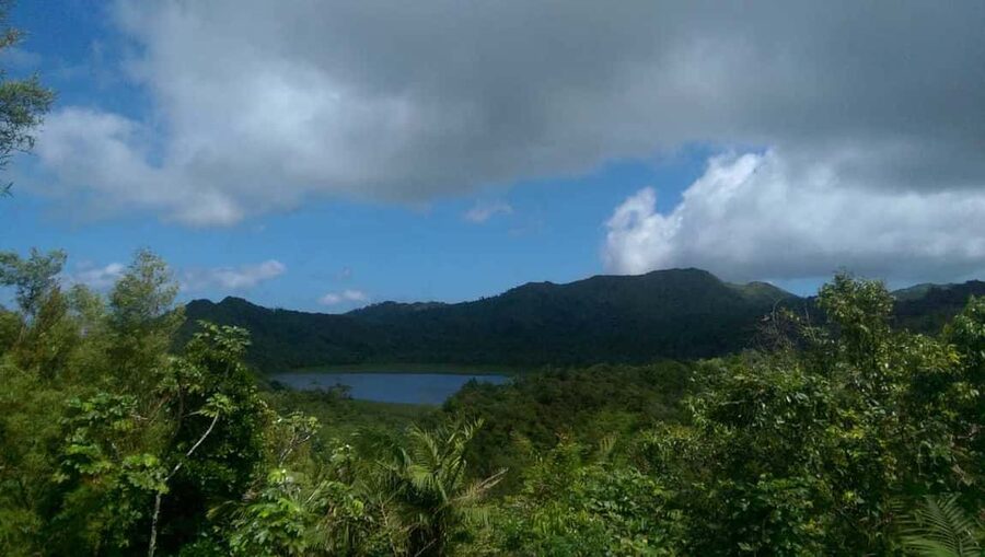 "Tropically Yours" Waterfall Nature Hike. - Farms, spices, birds, and Mona monkeys