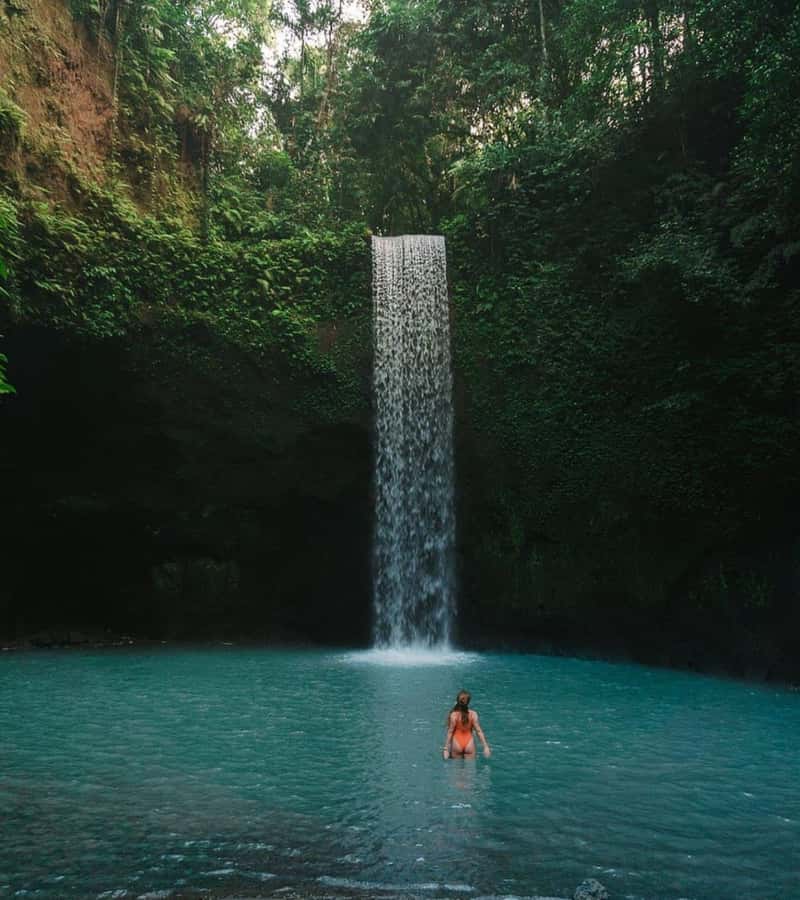 Ubud: Full-Day Rice Terrace, Monkey Forest & Waterfall - Five useful things to know before you book