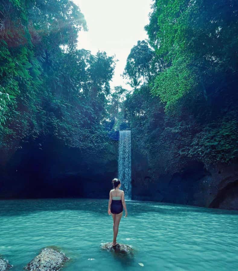Ubud: Full-Day Rice Terrace, Monkey Forest & Waterfall - Who should take this Ubud day tour?