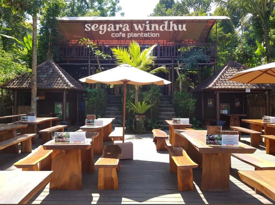 Ubud: Full-Day Rice Terrace, Monkey Forest & Waterfall - Segara Windhu Coffee Plantation: tasting with a shopping element