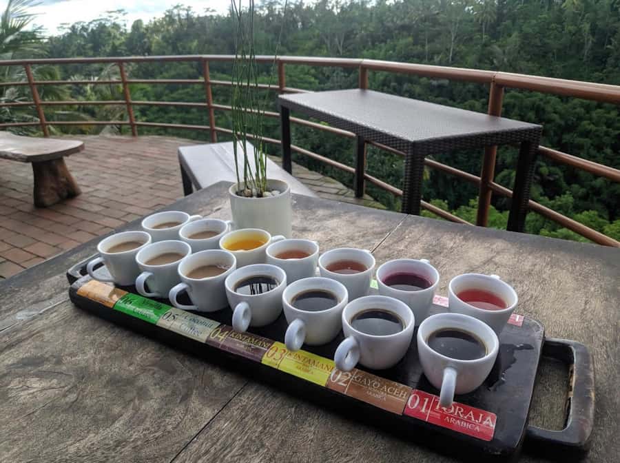 Ubud: Full-Day Rice Terrace, Monkey Forest & Waterfall - Tibumana Waterfall: a calmer finish in the forest