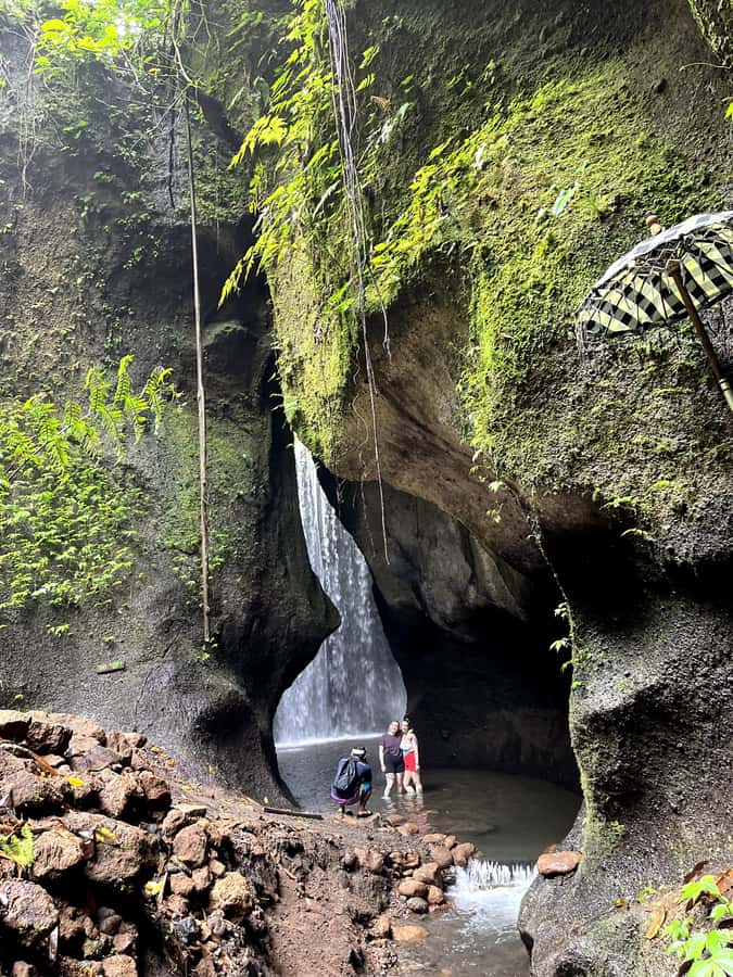 Ubud: Hidden Gems and Waterfalls Private Tour - What this private Ubud outing is really like