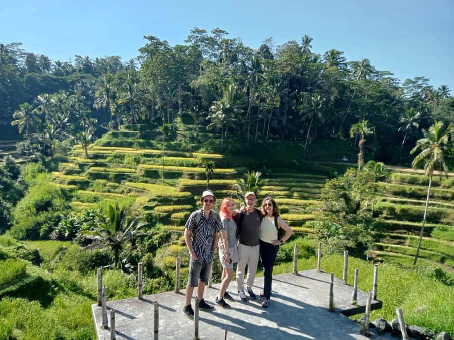 Ubud: Hidden Gems and Waterfalls Private Tour - Tukad Cepung and its enclosed forest setting
