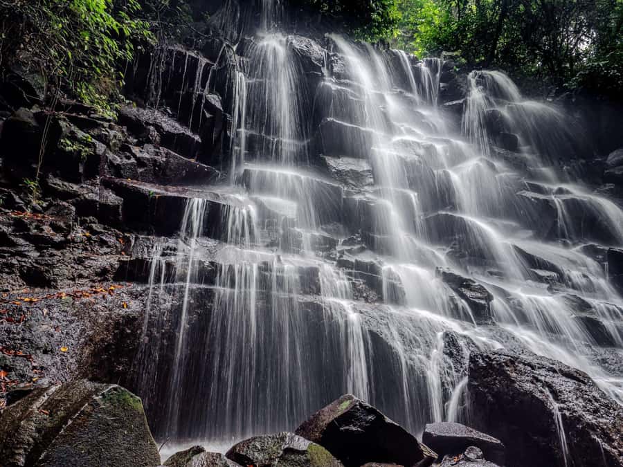 Ubud: Hidden Gems and Waterfalls Private Tour - Coffee, tea, and tropical fruit at the plantation