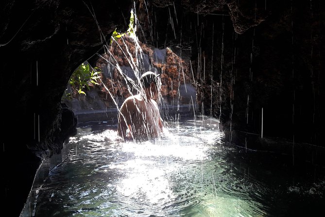 Ubud Hot Springs and Waterfall Private Guided Tour - What the $18.12 price really gives you