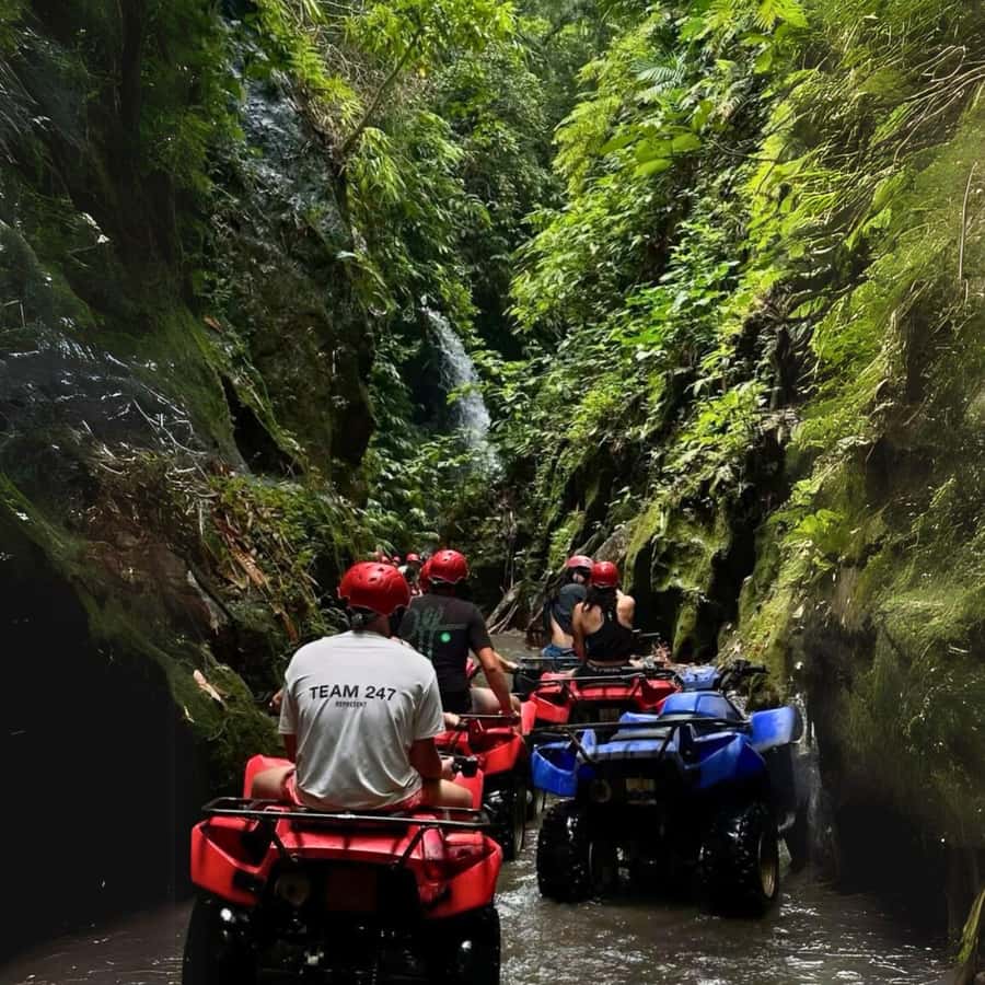 Ubud: Jungle, Waterfall, and Tunnel ATV Tour & Lunch Options - What the $41 price really gets you