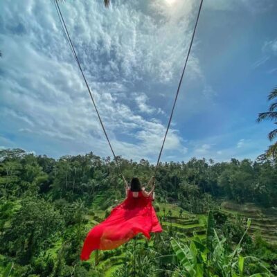 Ubud Monkey Forest, Temple, Rice Terrace and Waterfall Tour