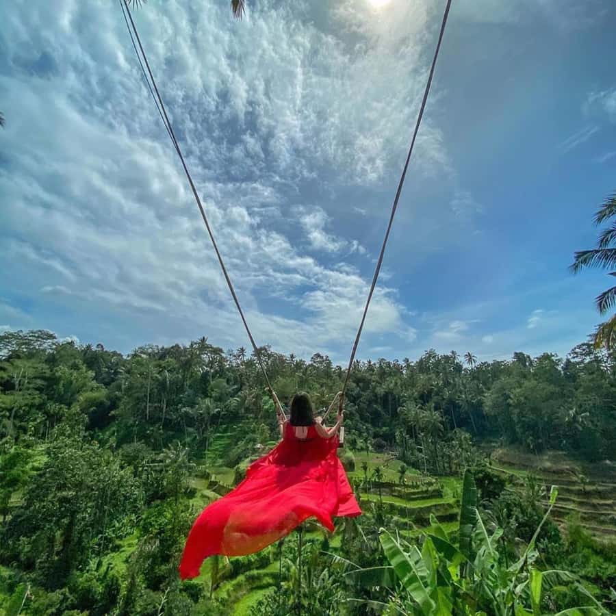 Ubud Monkey Forest, Temple, Rice Terrace and Waterfall Tour - One hour among the macaques at Sacred Monkey Forest
