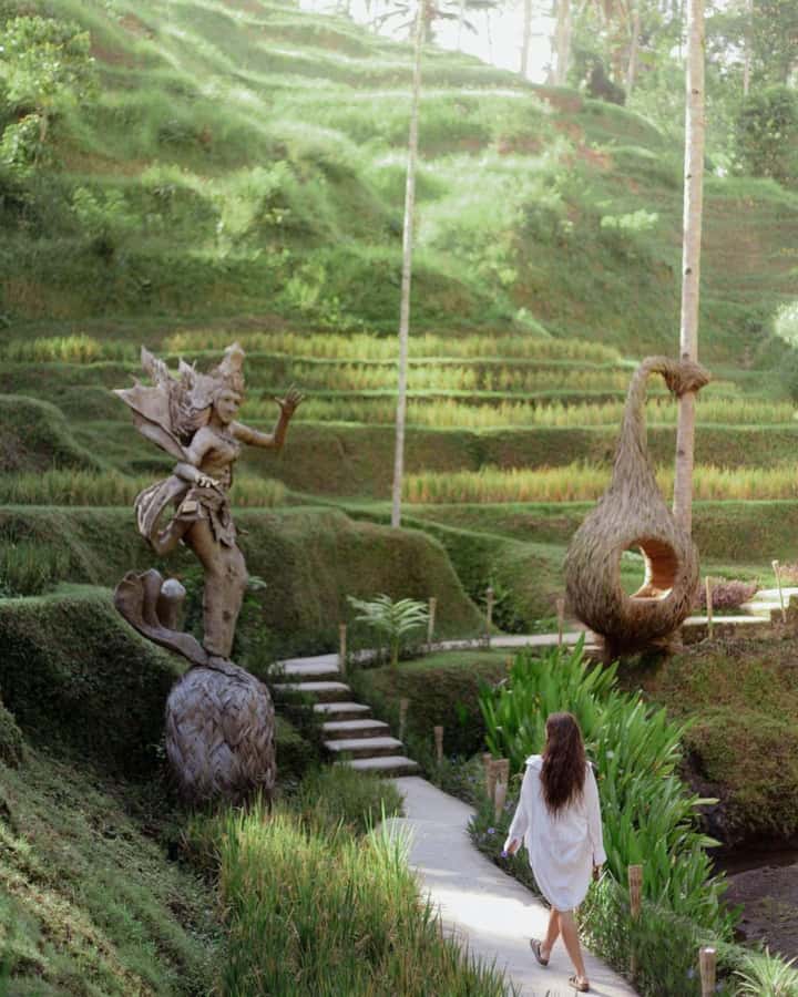 Ubud: Private Scenic Waterfalls and Rice Terraces Tour - Local lunch and a coffee tasting near Tampaksiring