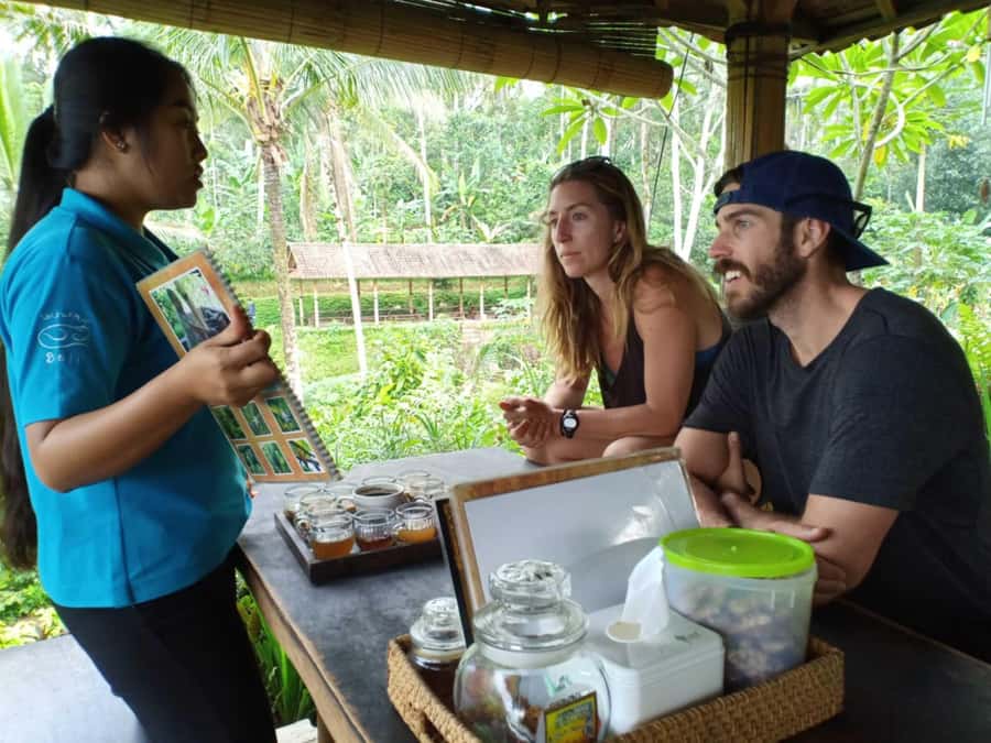 Ubud: Private Scenic Waterfalls and Rice Terraces Tour - What the guides add to the day