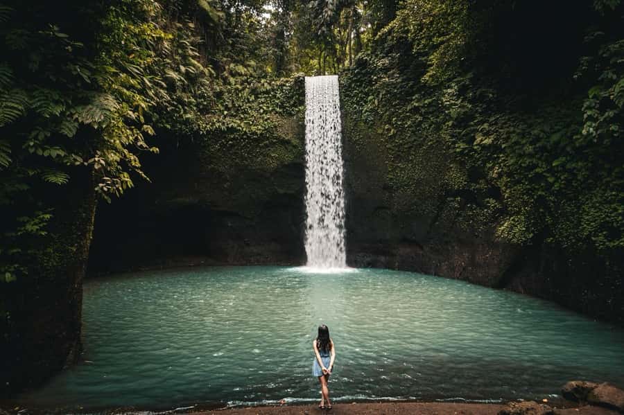 Ubud: Rice Terrace, Holy Water Temple & Waterfalls Trek Tour - What this $33 Ubud tour is really offering