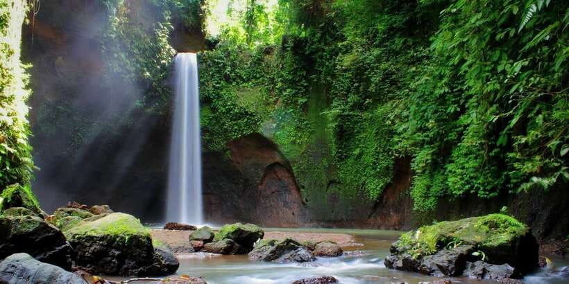 Ubud: Rice Terrace, Holy Water Temple & Waterfalls Trek Tour - Guides are the strongest part of the experience