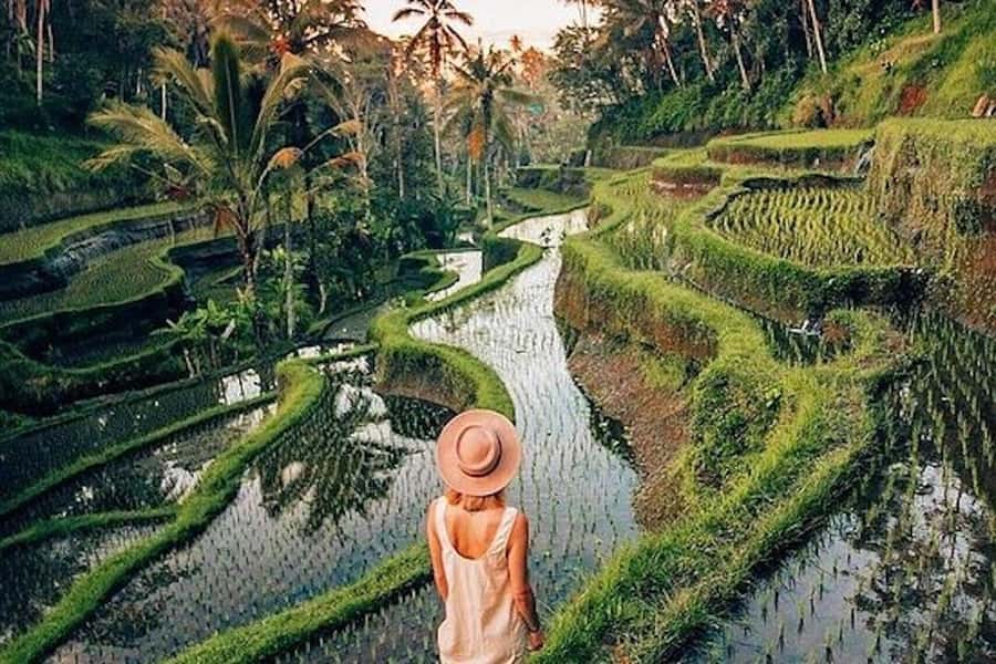 Ubud: Rice Terrace, Waterfall, & Elephant Cave - Goa Gajah, the Elephant Cave near Ubud