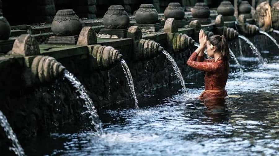 Ubud: Rice Terrace, Waterfall, & Elephant Cave - Who should book this tour?