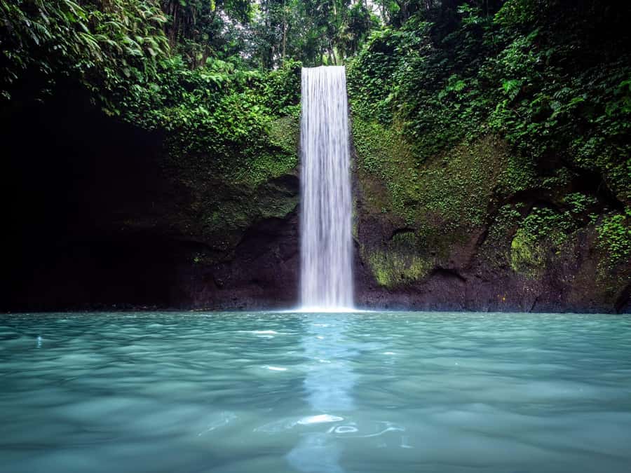 Ubud: Rice Terraces, Water Temple, & Waterfalls Private Tour - Why this Ubud day works well