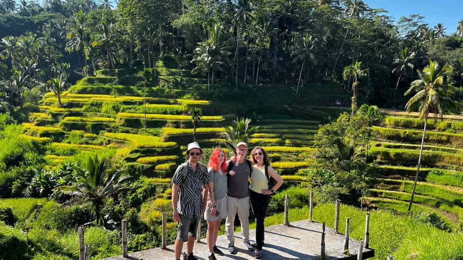 Ubud: Rice Terraces, Water Temple, & Waterfalls Private Tour - Tegallalang shows how Bali’s rice farming works
