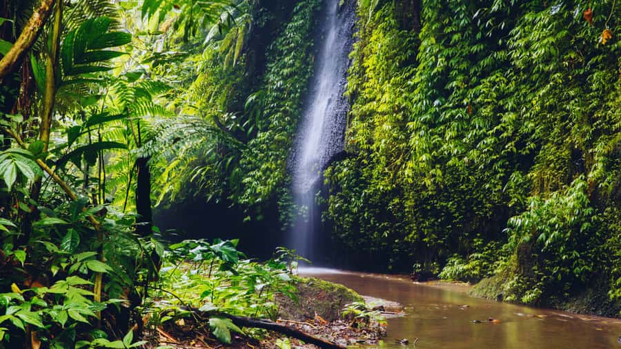 Ubud: Spectacular Waterfalls Tour - Gunung Kawi Sebatu: a quiet change of pace