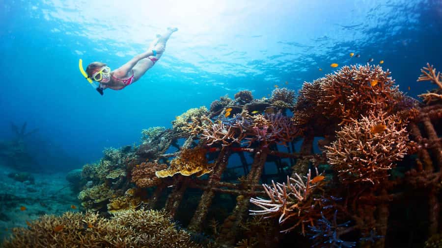 Ubud: Tegenungan Waterfall, Snorkeling, and Canyoning Tour - A busy Bali day that earns its place